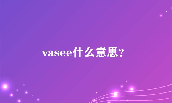 vasee什么意思？