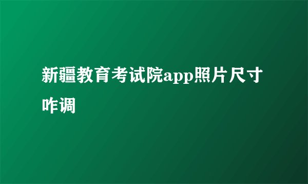新疆教育考试院app照片尺寸咋调