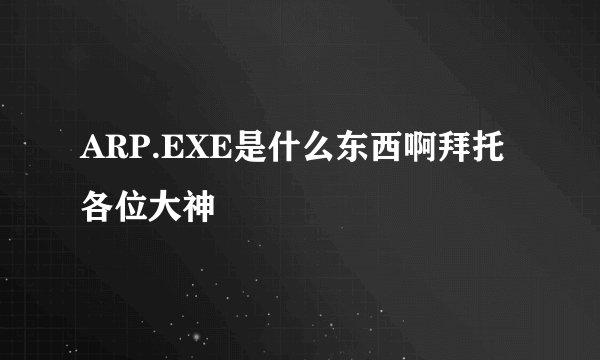 ARP.EXE是什么东西啊拜托各位大神