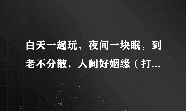 白天一起玩，夜间一块眠，到老不分散，人间好姻缘（打一动物）