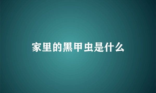 家里的黑甲虫是什么