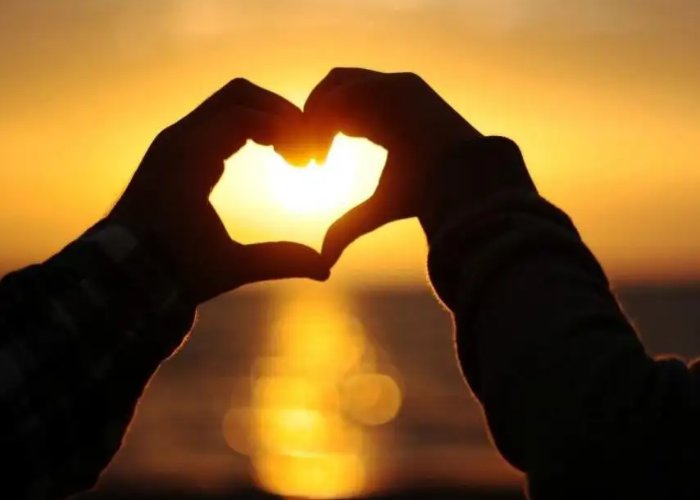 zw是什么意思？