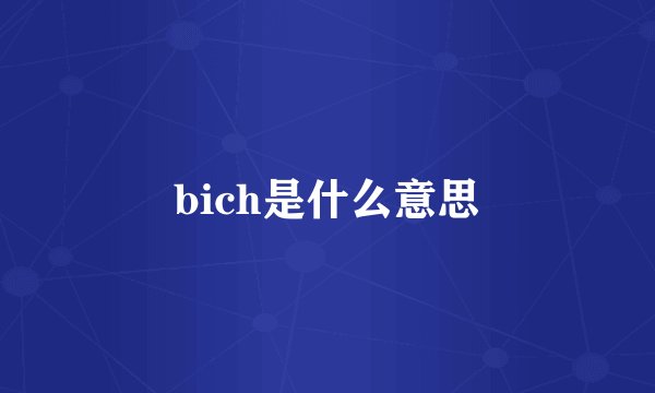 bich是什么意思