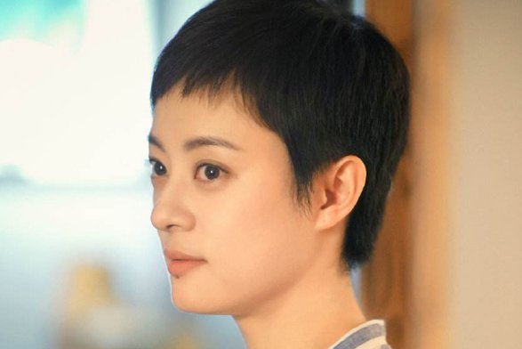 安家电视剧有多少集