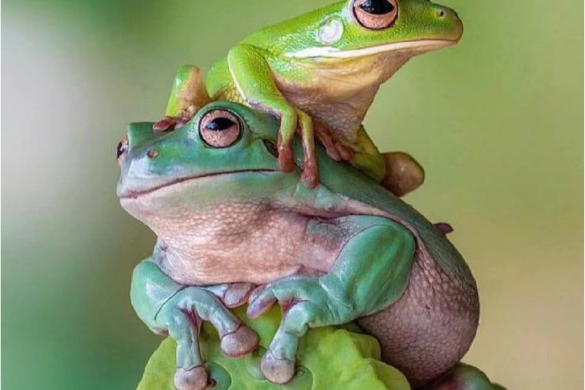 鼓着造句子简单的