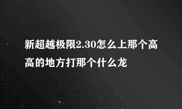 新超越极限2.30怎么上那个高高的地方打那个什么龙