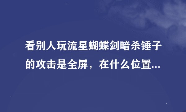 看别人玩流星蝴蝶剑暗杀锤子的攻击是全屏，在什么位置都能打到，而且换武器速度非常快？这是怎么弄的？