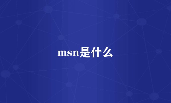 msn是什么
