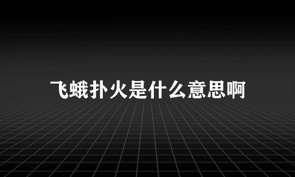飞蛾扑火是什么意思啊