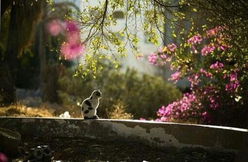 哪有什么岁月静好