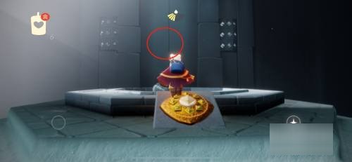 雨林密林遗迹在哪