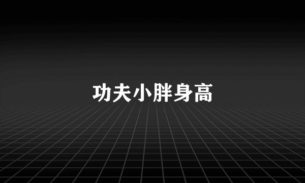 功夫小胖身高