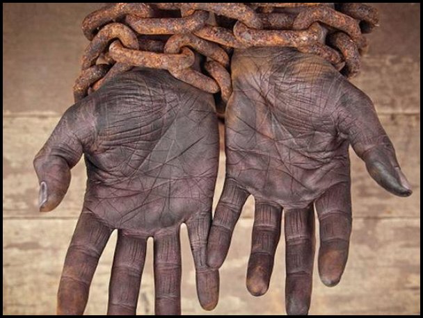 开普敦举行废奴隶制纪念活动的意义