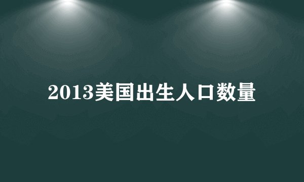 2013美国出生人口数量