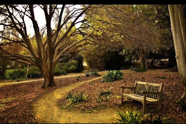 一个男的和你睡完后会给你钱这是什么心态？