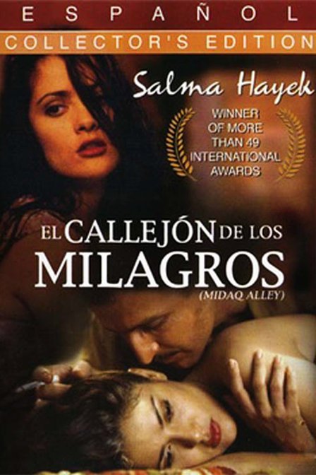 堕落情妓的介绍