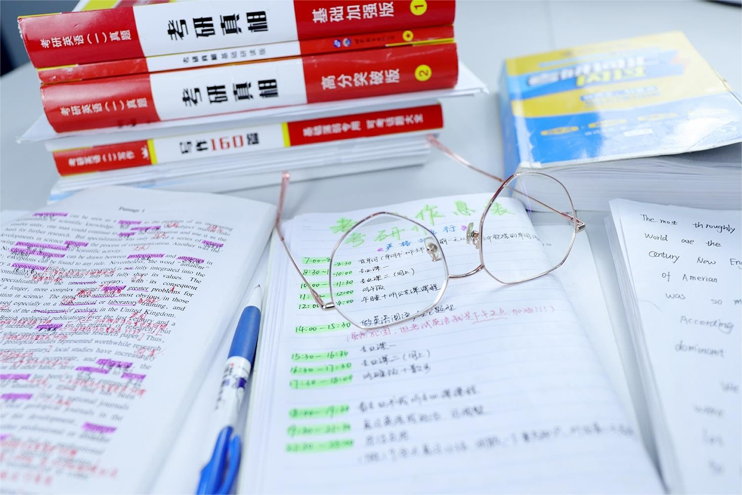 camilla是什么意思