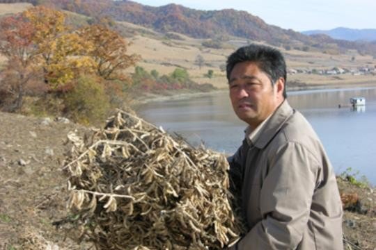 女人篱笆墙和狗演员表