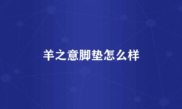 羊之意脚垫怎么样