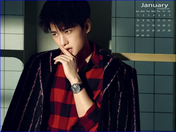 花儿与少年第二季人员名单