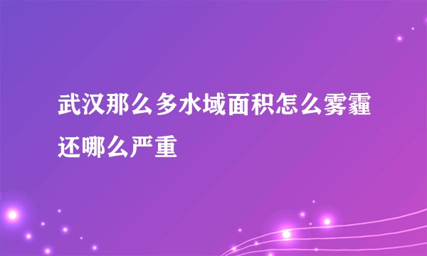 武汉那么多水域面积怎么雾霾还哪么严重
