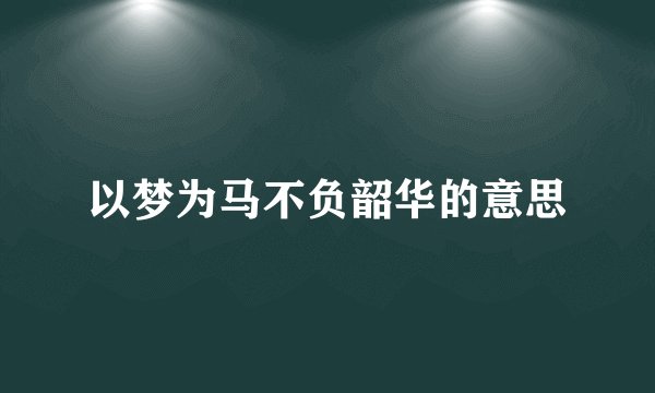 以梦为马不负韶华的意思