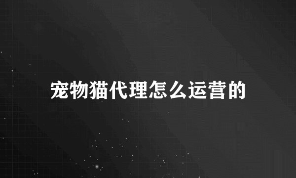 宠物猫代理怎么运营的
