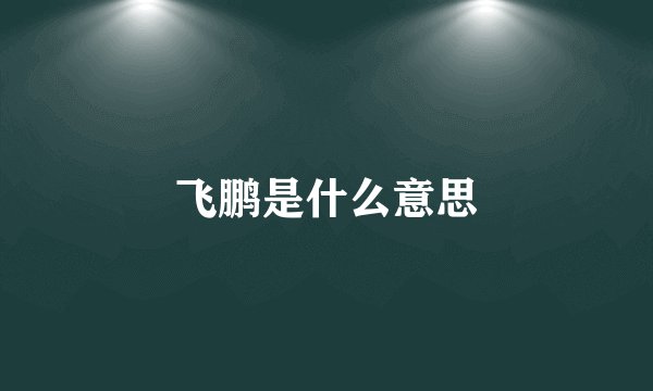 飞鹏是什么意思