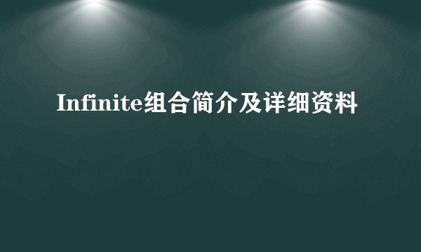 Infinite组合简介及详细资料