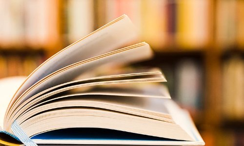 见风使舵造句子