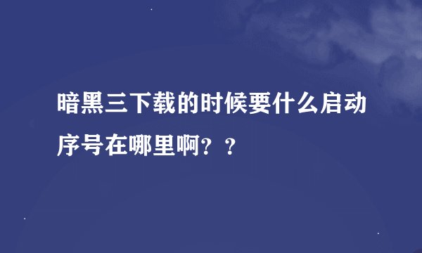 暗黑三下载的时候要什么启动序号在哪里啊？？