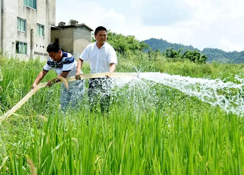 长江武汉段现1954年以来最低水位，这是受哪些因素所影响？