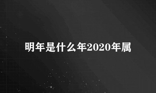 明年是什么年2020年属