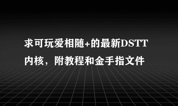 求可玩爱相随+的最新DSTT内核，附教程和金手指文件