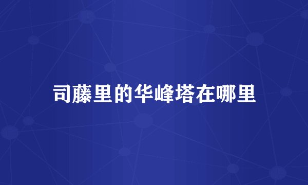 司藤里的华峰塔在哪里