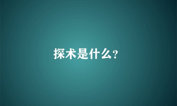 探术是什么？