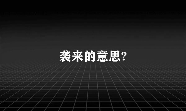 袭来的意思?