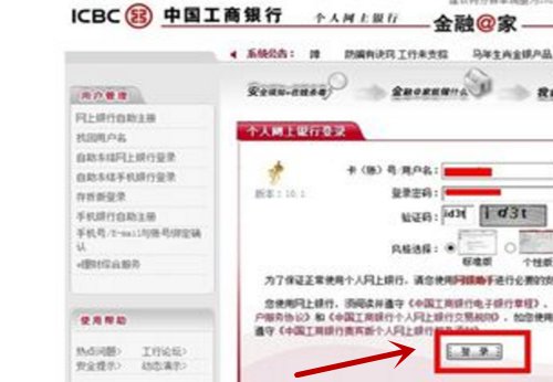 如何在网上使用U盾进行支付？
