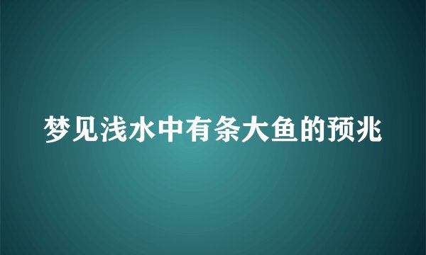 梦见浅水中有条大鱼的预兆