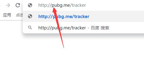 《绝地求生大逃杀》怎么看分段?