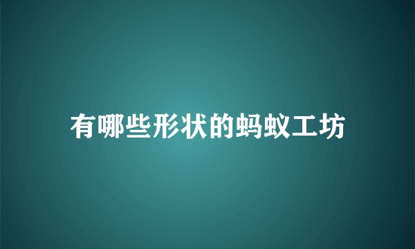 有哪些形状的蚂蚁工坊
