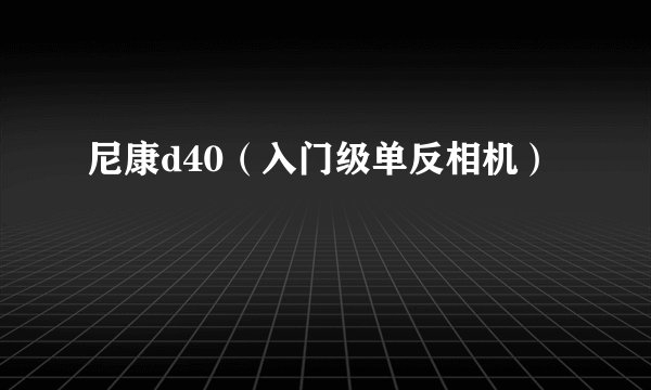 尼康d40（入门级单反相机）