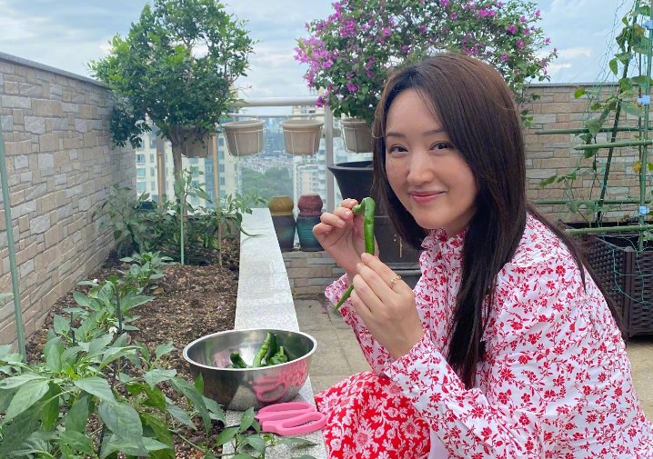 杨钰莹结婚了吗