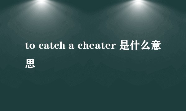 to catch a cheater 是什么意思