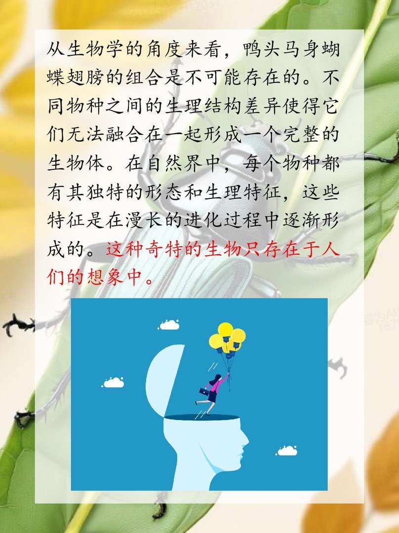 鸭头马身蝴蝶翅膀是什么