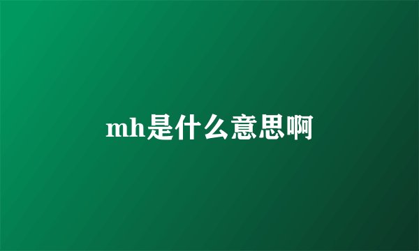 mh是什么意思啊