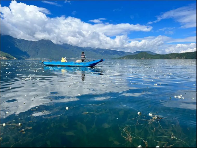 云南大理旅行社排名前十名