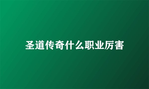 圣道传奇什么职业厉害