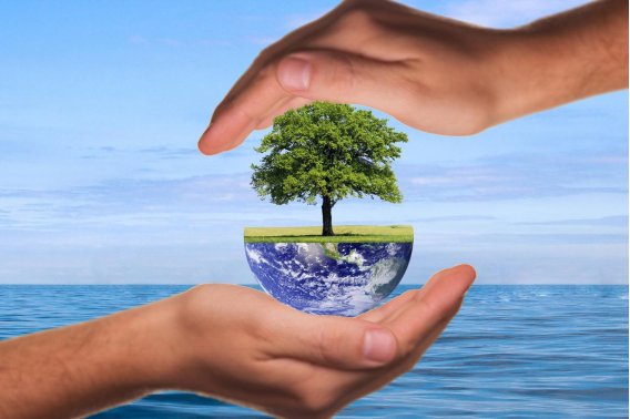 healtheworld翻译中文