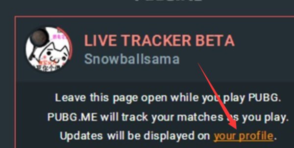 《绝地求生大逃杀》怎么看分段?